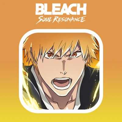 Обложка Bleach Soul Resonance